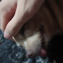 avatar math=abuse{jk} dont hurt me