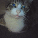 avatar rositaespinosa