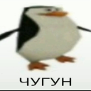 user_i7hq5x8yrz8np2if member profile picture