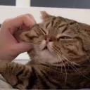 .munchky