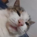 https://cdn.discordapp.com/avatars/704402623415058454/aaa02a64d9bd0a2b95a508f38c1f1974.jpg?size=128