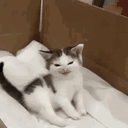 luvlief