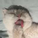 kaeeoun
