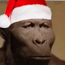 dxrkonpc4782