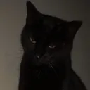 angel.exe.cx