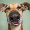 Аватар zerix829