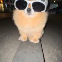 tucq.