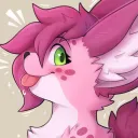 meowdymomo