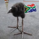 onxbeerlxft