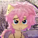 expkai