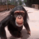 avatar 𝑰𝒔𝒍𝒂𝒎 𝒀𝒐𝒖𝒔𝒔𝒊𝒆𝒇