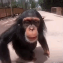 avatar 𝑰𝒔𝒍𝒂𝒎 𝒀𝒐𝒖𝒔𝒔𝒊𝒆𝒇