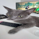 Discord Avatar