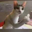 noxloves69