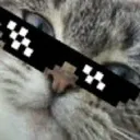 kikinsb.