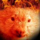 mortalwombat8832