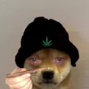 chief_tawodi4652
