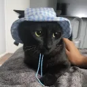 hira_2332