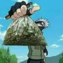 noodles4sale