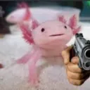 robertiano