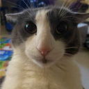 avatar mymotherboard that isnt fried!