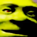 shronk2455