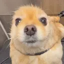 7435