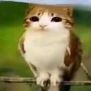 itznotvienico_