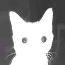 azqrr
