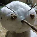hehehehass