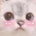 aaarrrnnnaaavvv