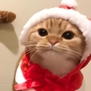 avatar Stinky I☆ris