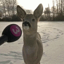 avatar Skyfallキユ