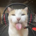 gunzlezz