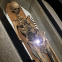 technologe#5161's avatar