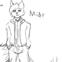 midothecat avatar