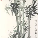 _ivanwang