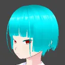dhmo_1529