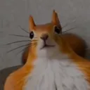 firecat_gaming
