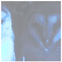 semitendinous