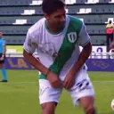 pancho4463