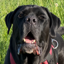 avatar 𝒥𝓍𝓃𝓃𝒾 ♕