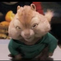 babatunde4018's Avatar