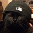 avatar ✦𝐑𝐚𝐮𝐥𝐢𝐭𝐭𝐨✦