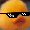 sauruswhy