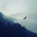 themistermazin7918
