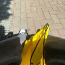 avatar faithyfaithyfathyfaithyfaithy