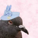 elipri