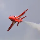 ognightingale