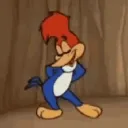 wgim